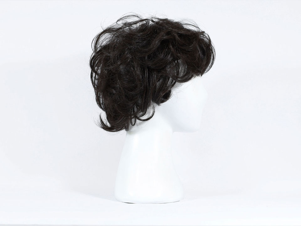 wig-w03-5.jpg