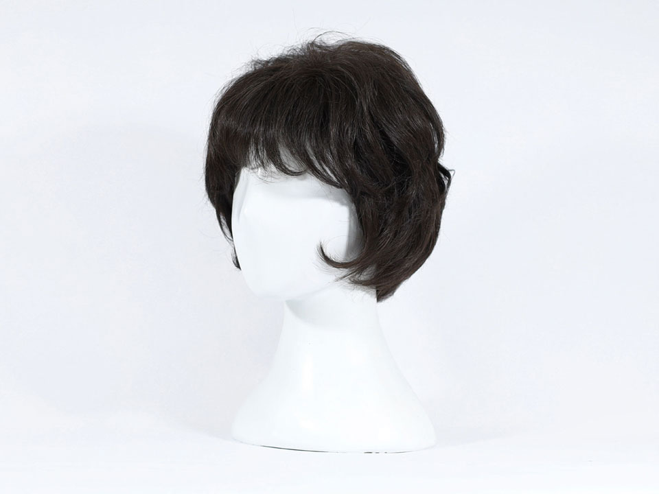 wig-w01-2.jpg