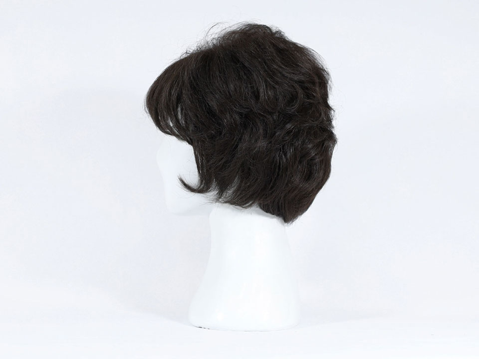 wig-w01-3.jpg