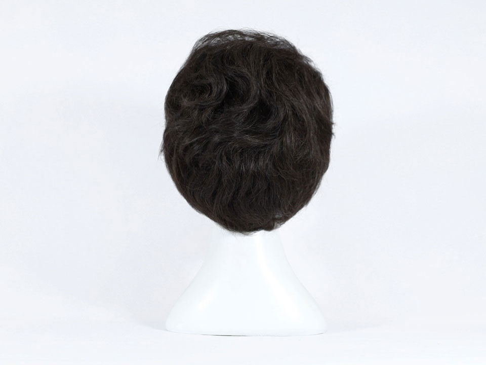 wig-w01-4.jpg