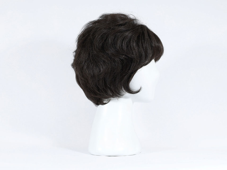 wig-w01-5.jpg