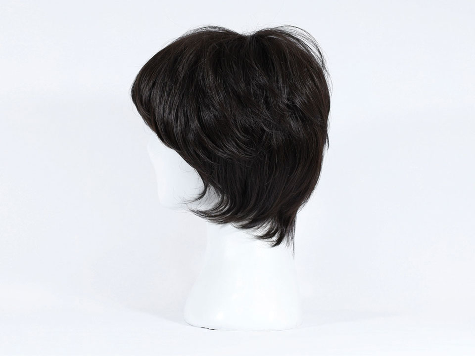 wig-w01-3.jpg