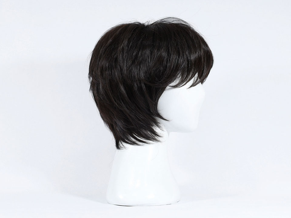 wig-w01-5.jpg