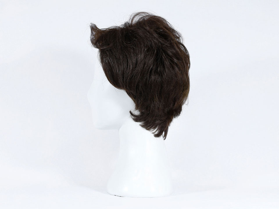 wig-w01-2.jpg